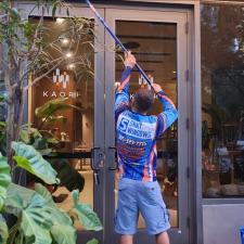 Window cleaning 6