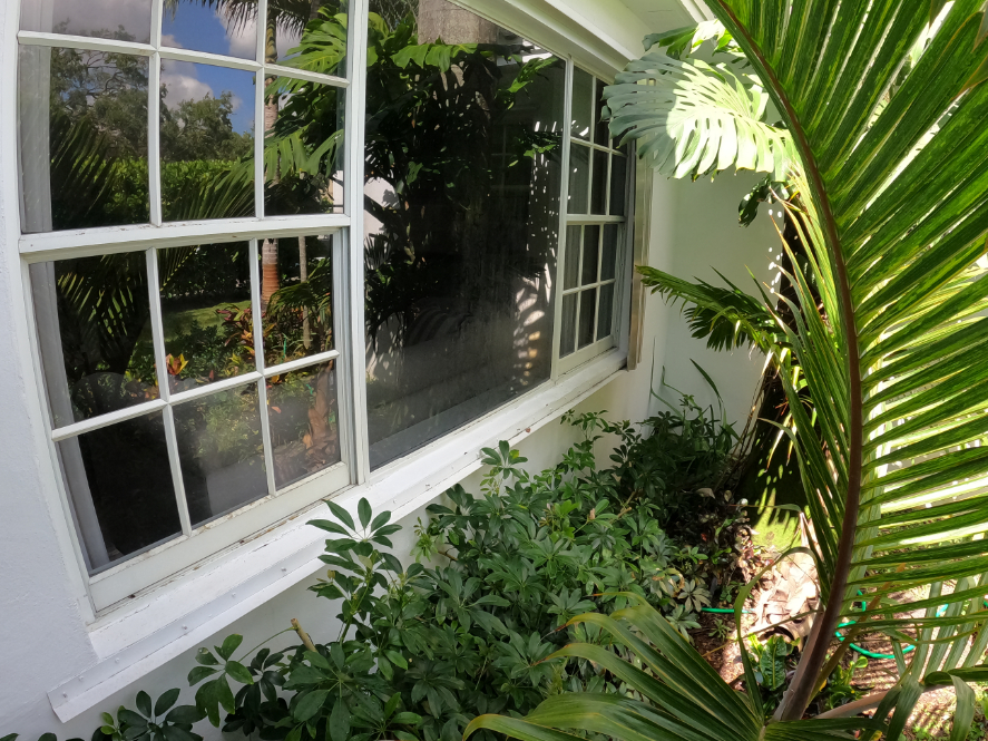 Window Cleaning and Pressure Cleaning in Miami Shores, FL