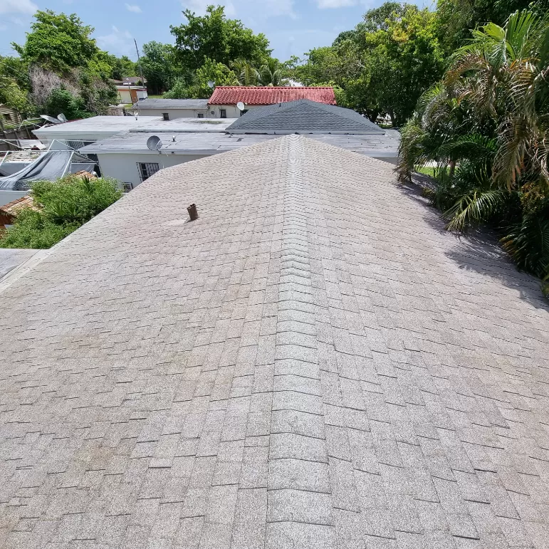 Roof Cleaning in North Miami, FL