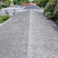 Roof cleaning 3
